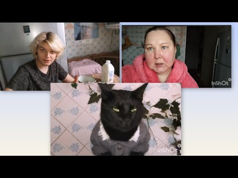 Видео: ЗЯТЬ БЕЛОСНЕЖКА -ГОРЕ ПОВАРИШКА .ШАУРМУ ГОТОВИТ 2 ЧАСА 😃