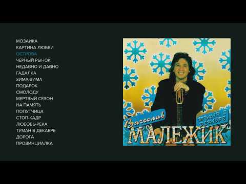 Видео: Вячеслав Малежик - Туман в декабре, 1993 (official audio album)