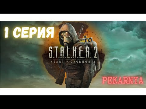 Видео: stalker 2 (1 серия)