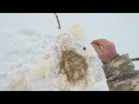 Видео: г.Колпашево.  Паром.  Выручаем  жерлицы.  Дуплет  из  одной  лунки.