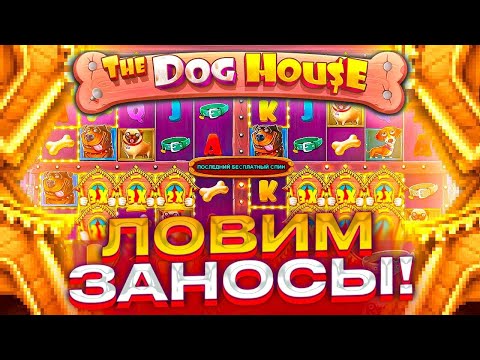 Видео: ИЩУ ЗАНОСЫ В DOG HOUSE MULTIHOLD !!! СЛОТИК ОТДАЕТ МОНЕТУ !!! ЗАНОСЫ НЕДЕЛИ !!!