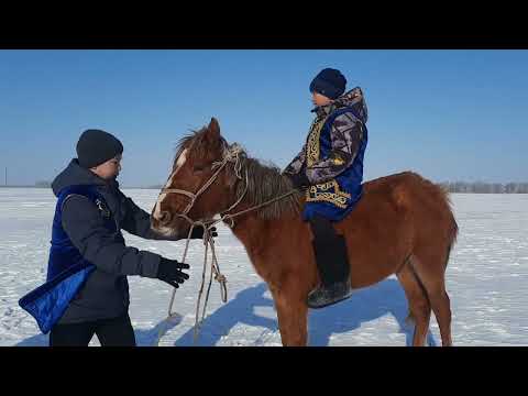 Видео: Ұлттық салт-дәстүр. 2022 жыл.