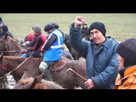 Видео: 07.02.2024 Қазығұрт ауданы Тұрбат Еңбек ауылы Данияр бауырымыздың елден бата алу көкпар тойы