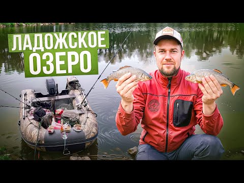 Видео: Дикие поклёвки плотвы. Ладожское озеро. Ловля плотвы на поплавок весной.