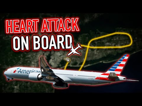 Видео: Каждая минута на счету. Пилоты AAL спешат на посадку, чтобы СПАСТИ жизнь пассажира. НАСТОЯЩИЙ УВД
