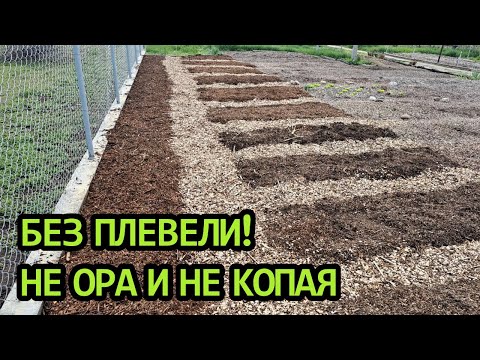 Видео: Permaculture gardening - разширявам градината ми без копане