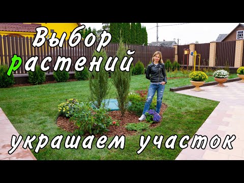 Видео: Ландшафтный дизайн под ключ | Выбор садовых растений