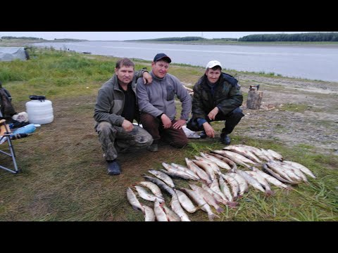 Видео: УРА МЫ ЕДЕМ В ХАНТЫ !!!РЫБАЛКА В СЕНТЯБРЕ 2021.