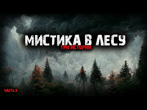 Видео: Мистика в лесу (3в1) Выпуск №9