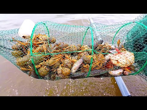 Видео: Весна! Ловля Раков на Китайские Раколовки! Отличный Улов!
