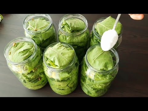 Видео: БЕЗ ГЛУБИНКИ! БЕЗ ПРИГОТОВЛЕНИЯ! Таким образом, я сохраняю лист свежим в течение 2 лет! #листья