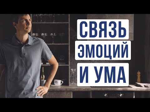 Видео: Как связаны ум и эмоции. Как избавиться от негативных чувств