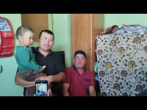 Видео: ДОДОМОЛ