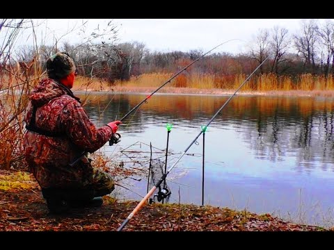 Видео: ВЕЛИКА ПЛОТВА так ЛОВИТЬСЯ І КЛЮЄ тільки РАЗ НА РІК. Фідерна рибалка 2023.