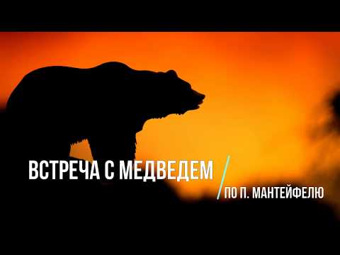 Видео: Диктант по русскому языку.  9 класс.  Встреча с медведем. #диктант9класс #диктант