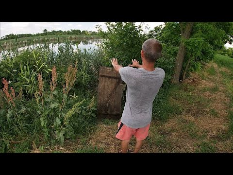 Видео: Никогда не покупайте дом у реки