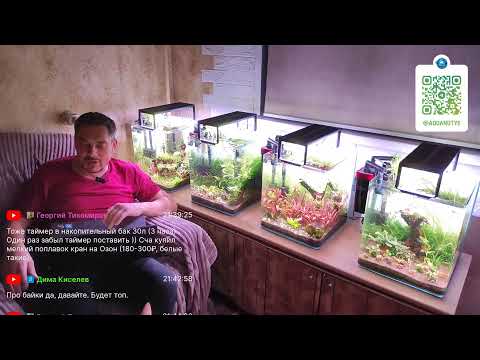 Видео: Ненаучный аквастрим 12 октября 2025 г.