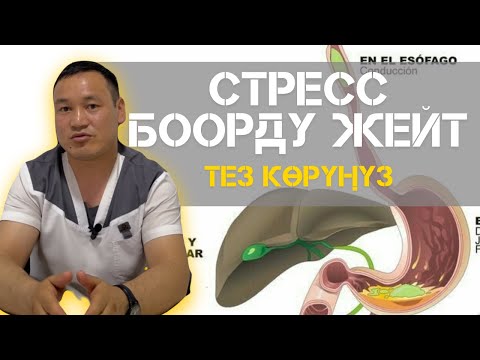 Видео: СТРЕСС БОЛБО ДЕП КОЮУ ОҢОЙ, БИРОК…