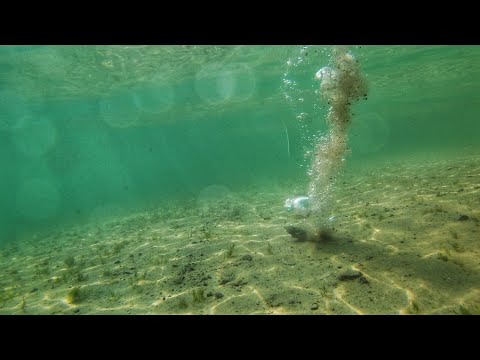 Видео: Кормушки ОКНА при Стартовом Закорме под Водой! /Window Feeder while Baiting up Underwater/