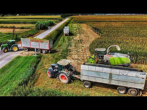 Видео: Урожай кукурузы 2024 CLAAS JAGUAR 970