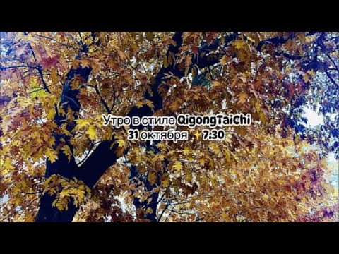 Видео: Доброго осеннего !!! Утренний стрим 🌿 старшая группа 🍂Forest🌲Qigong в прямом эфире!#ForestQigong