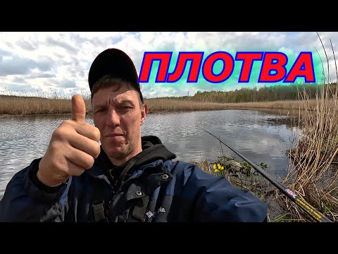 Видео: Плотва прошла, но я успел! Ловля ПЛОТВЫ на поплавочную удочку!