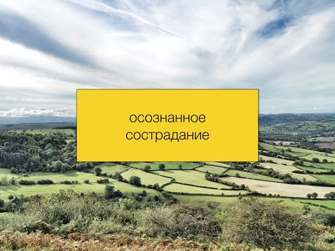 Видео: Осознанное сострадание