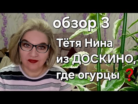 Видео: Тётя Нина из ДОСКИНО, где огурцы?