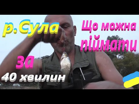 Видео: #Сула # Рибалка 40 хвилин #РибачуЯкУмію