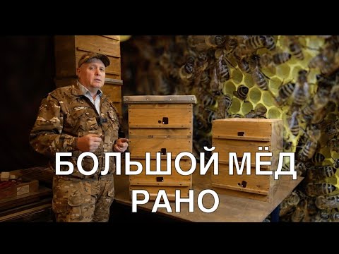 Видео: МЕТОДЫ ПОЛУЧЕНИЯ БОЛЬШОГО МЁДА РАНО 