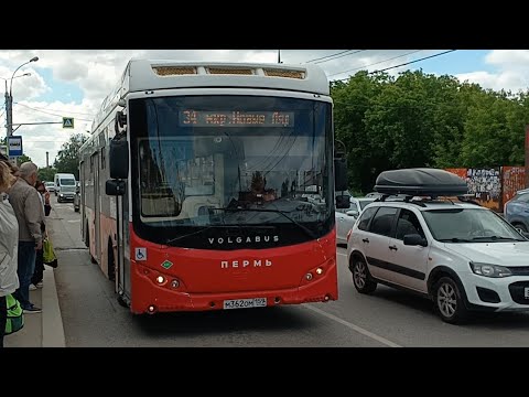 Видео: Пермь | Автобусный маршрут 34 |Ул.1905 года — Мкр.Новые Ляды |Volgabus 5270.G2(CNG) | Снято 28.06.24