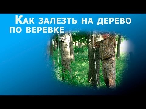 Видео: Как залезть на дерево с помощью веревки