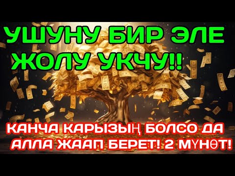 Видео: 🔥 "РЫЗЫК КҮТҮЛБӨГӨН ЖЕРДЕН КЕЛЕТ! БУЛ СЫРДЫ ЭЛ БИЛБЕЙТ!"...