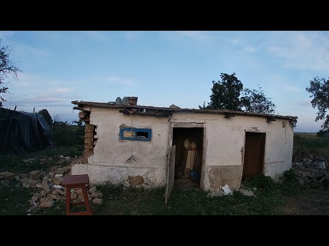 Видео: Разбираем крышу сарая , продолжаем резать  деревья. #жизньвселе