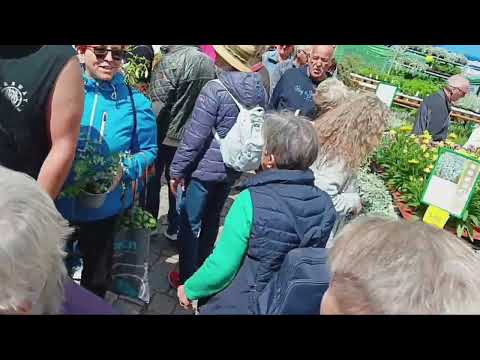 Видео: 24 май,базар фуксий.