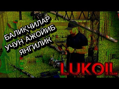 Видео: Фаргона вилояти Қува тумани марказида баликчилар дўкони очилди
