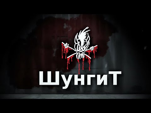 Видео: Шунгит в аквариуме и волшебство фуллереноFF