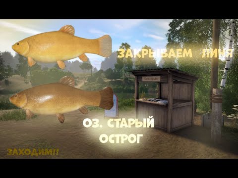 Видео: ОСТРОГ🤣ЛОВИМ ЛИНЯ🐟2000 СЕРЫ💵