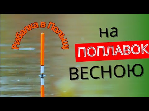 Видео: Рибалка в Польщі на безкоштовному озері весною