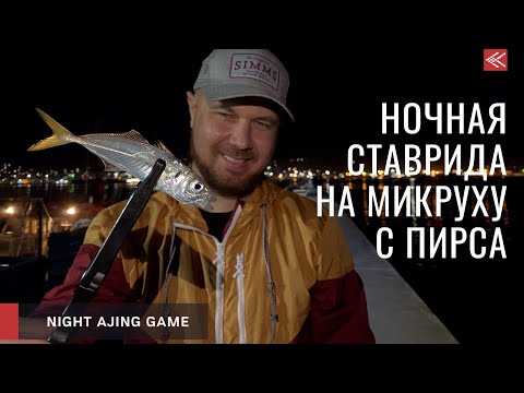 Видео: Ставрида на микруху с пирса в начале осени
