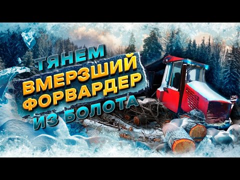 Видео: Тянем вмерзший Форвардер из болота