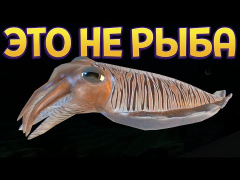 Видео: ЭТО НЕ РЫБА ( Feed and Grow: Fish )