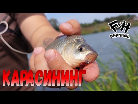 Видео: Уговорил карася на силикон. Мормышинг на пруду.