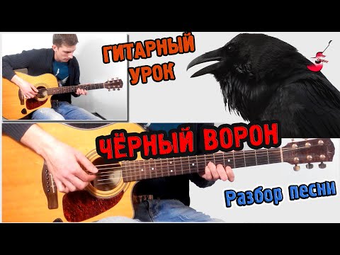 Видео: Чёрный Ворон РАЗБОР, АККОРДЫ ♫ Урок игры на гитаре !!!