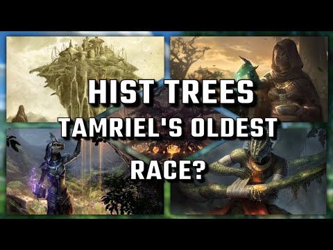 Видео: История: Древнейшая раса Тамриэля? | История Elder Scrolls