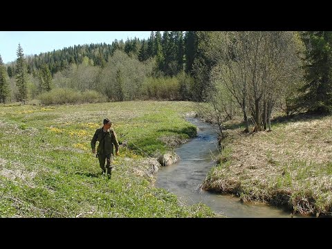 Видео: Кладоискательский поход в заброшенные деревни / 2 часть #369