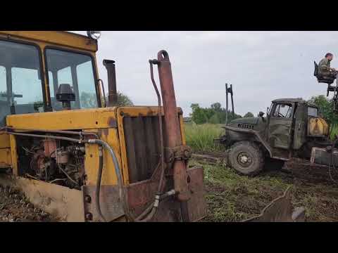 Видео: Помогаю куму с органикой на ДТ-75