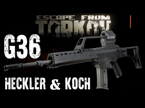 Видео: Для кого и для чего? HK G36 [Проект Оружейка]