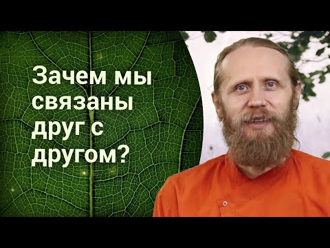 Видео: Зачем заботиться обо всех? Чем выгодна йога? Социальная философия