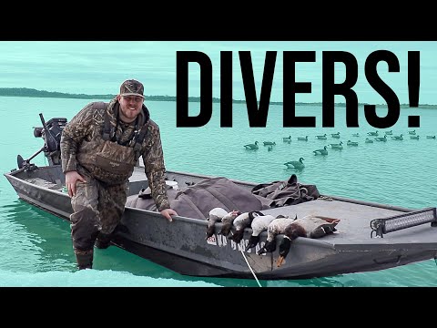 Видео: Goldeneye на большой воде